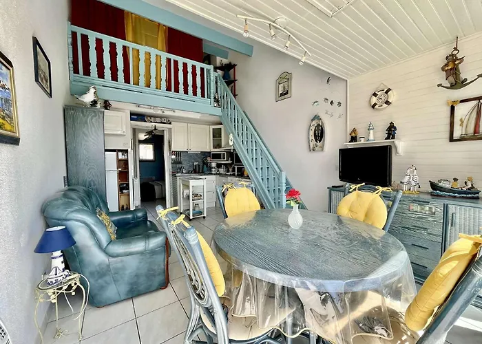 Attrayant Donnant Sur La Marina Sc020-051 Appartement Saint-Cyprien (Pyrenees-Orientales)